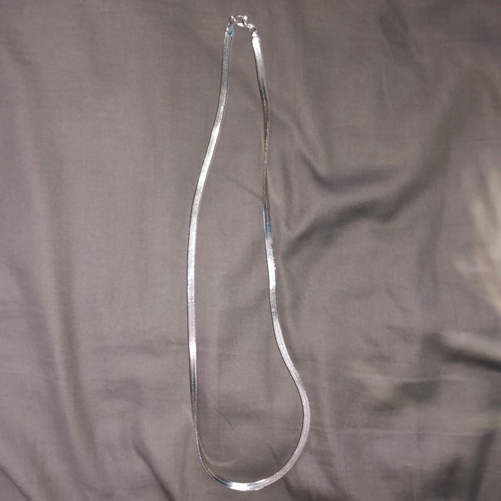 NWOT Silver 24” Necklace